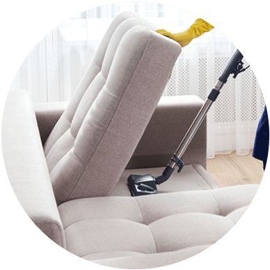 image of sofa cleaning