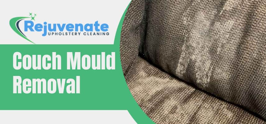 Couch Mould Removal Service