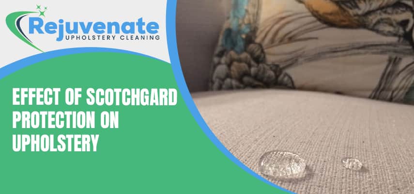 Effect of Scotchgard Protection on Upholstery  
Service